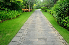 Aceite Natural para piedra Cuidado Marmol Mosaico Limpiador W250 1 - 10L