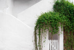 Pintura de cal para fachadas Impermeable Ecológica W553 - 5-20L