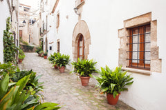 Pintura de cal para fachadas Impermeable Ecológica W553 - 5-20L