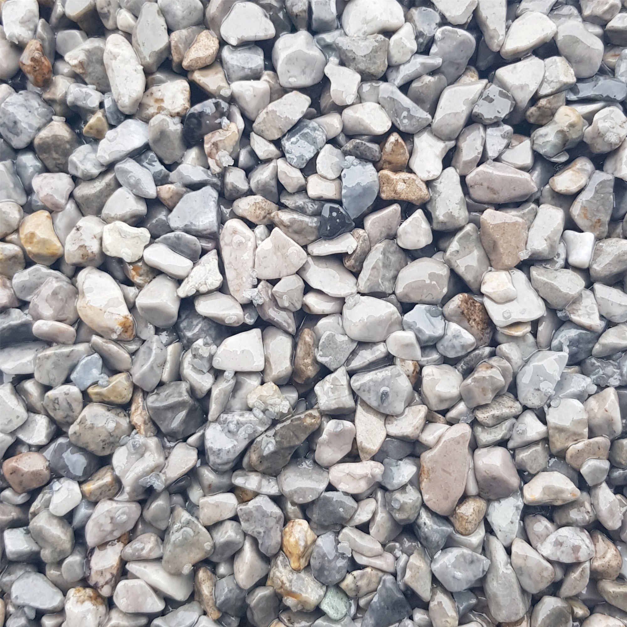 #Farbe_Ciottolo Grigio Occhialino