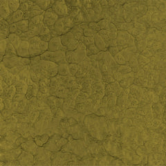 #Farbe_Gold
