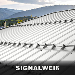#Farbe_Signalweiß